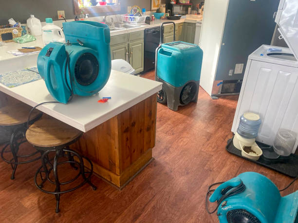 Best Water damage restoration experts  in Sunriver, OR