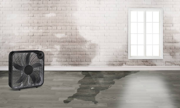 Best 24/7 water damage repair  in Sunriver, OR