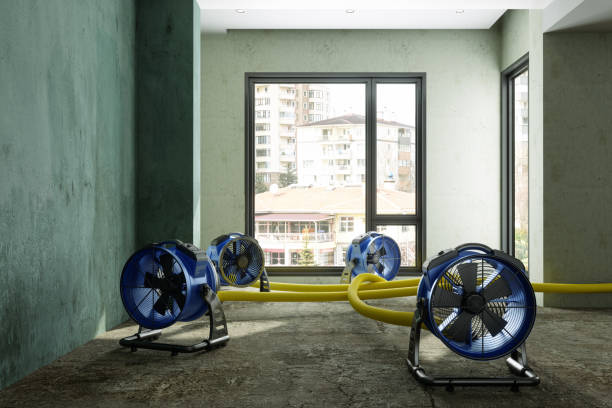 Best Basement water damage restoration  in Sunriver, OR